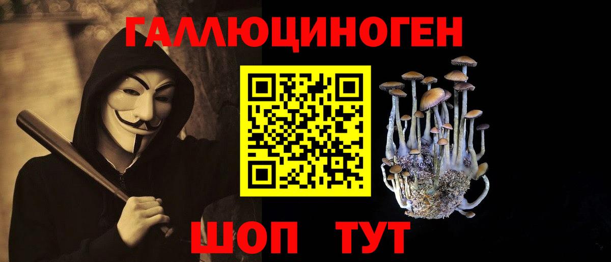 Лобня  наркота  Псилоцибиновые грибы мицелий  Вход с VPN  Псилоцибиновые грибы Psilocybine cubensis 